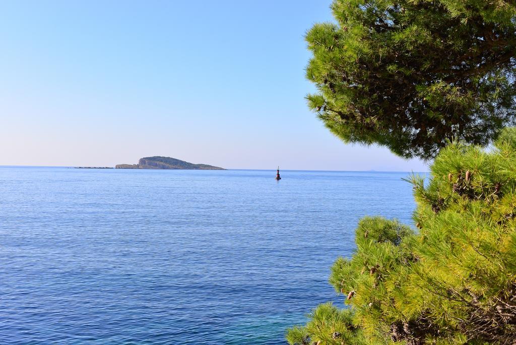 A&M Cavtat Family Apartment - 3 Bedrooms And Free Parking Luaran gambar